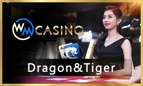 Exclusive bonuses for 77JL VIP members
